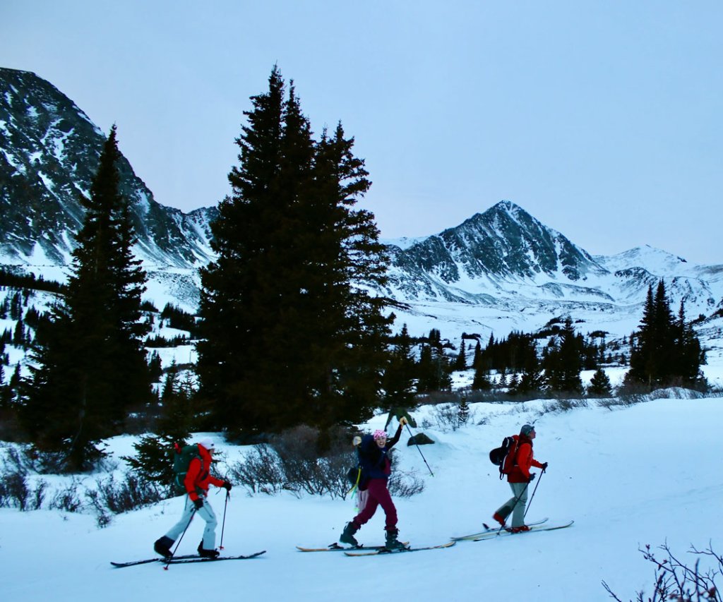 Three people cross-country skiing through a snowy mountain landscape with pine trees