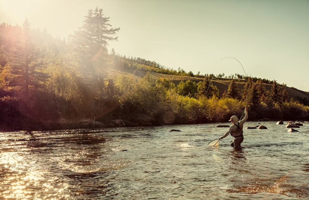 A fly fisherman stands in a river casting his line during a sunny day