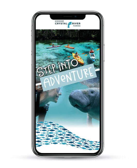 Mobile Ad