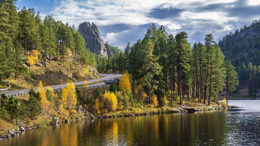 A winding road beside a lake with pine trees and autumn foliage