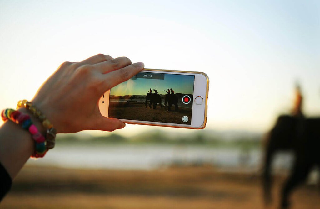 A person holding a smartphone to record elephants at sunset