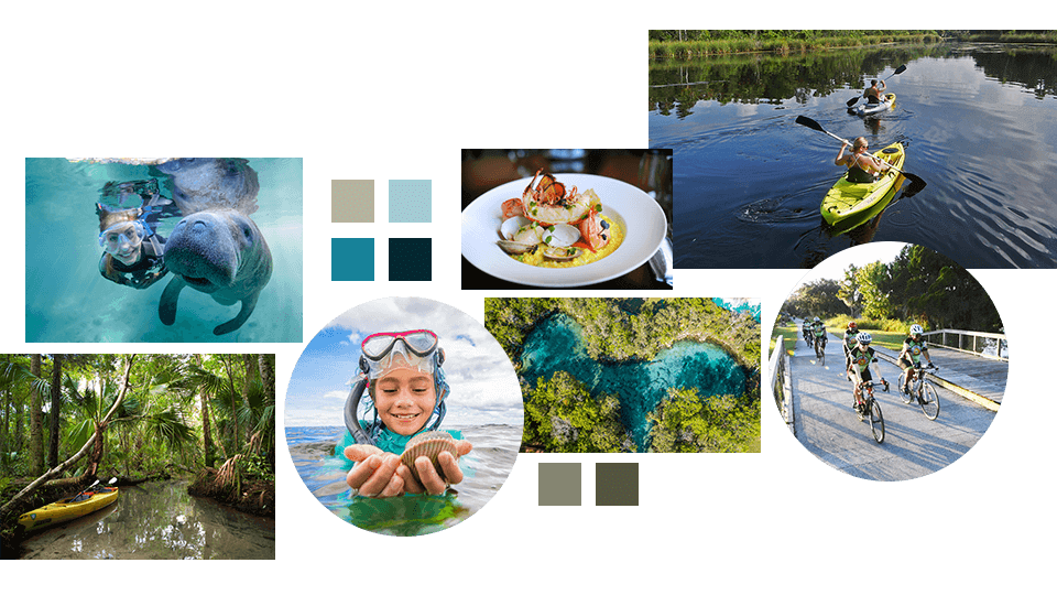 moodboard 2